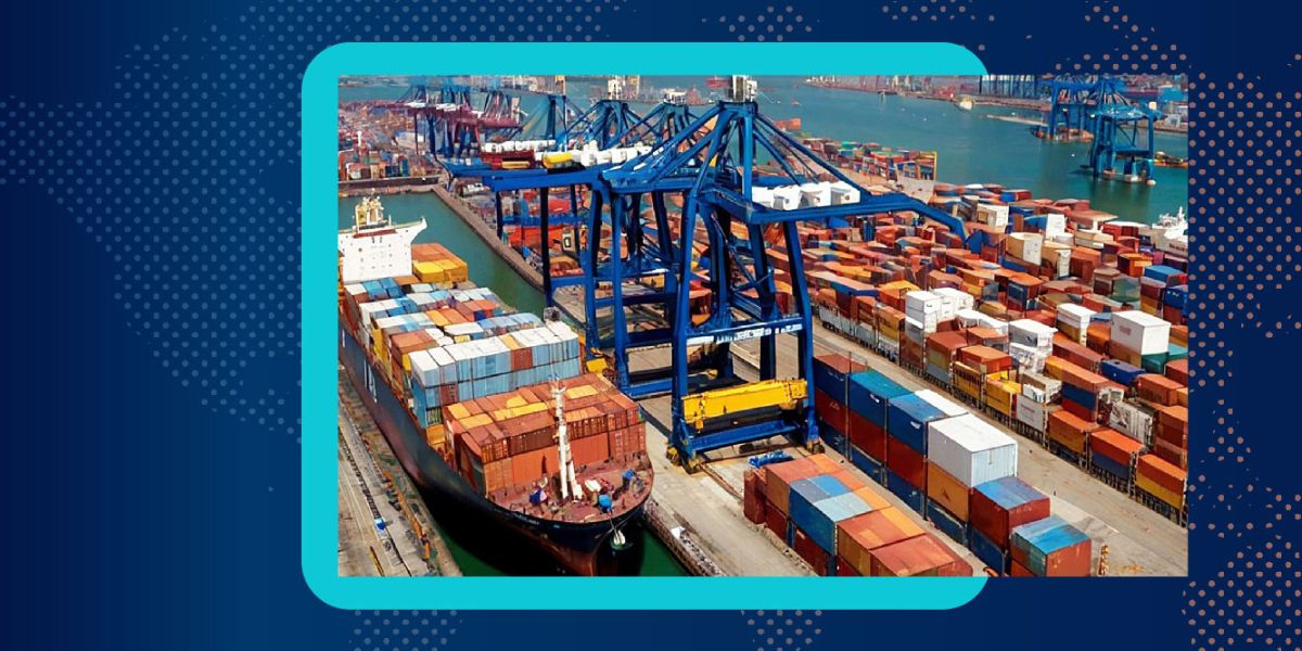 Time-Sensitive Transport Services in the Netherlands: A Complete Guide for International Clients