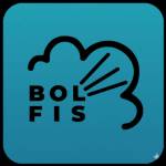 Bolfis Cleaning