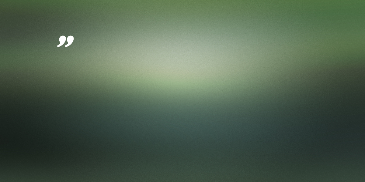 No Credit Check Fast Loans Online: An Observational Study