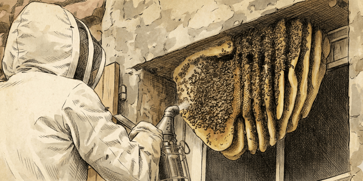 Complete Guide to Bee Removal and Control Services