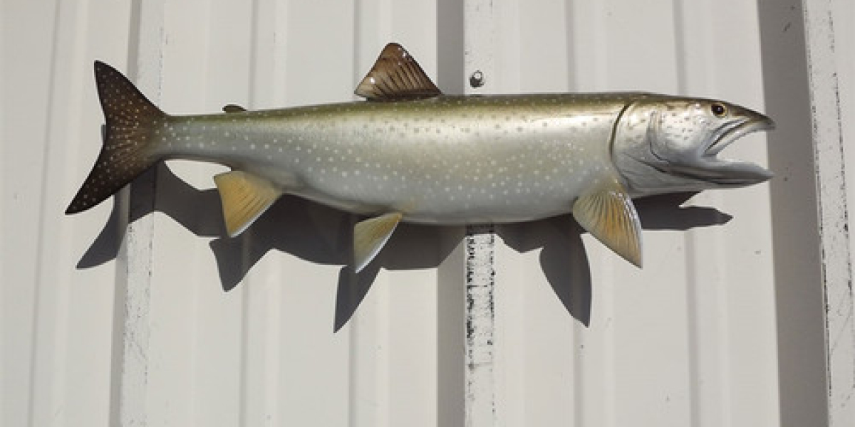 High-Quality Fish Mounts for Sale: Your Guide to Stunning Fish Replicas at MountThis!