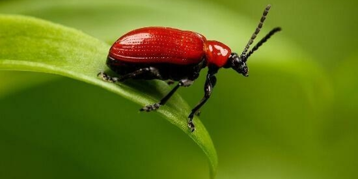 PDFs must not have Any Layers