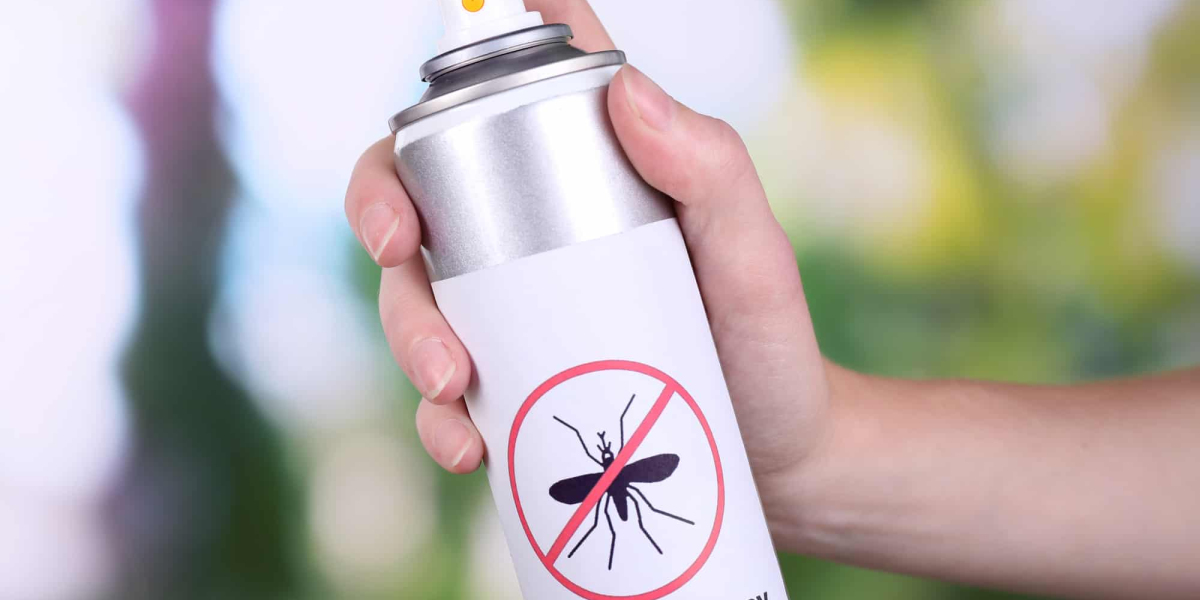 Insect Spray – A Simple Guide to Keep Your Home Safe