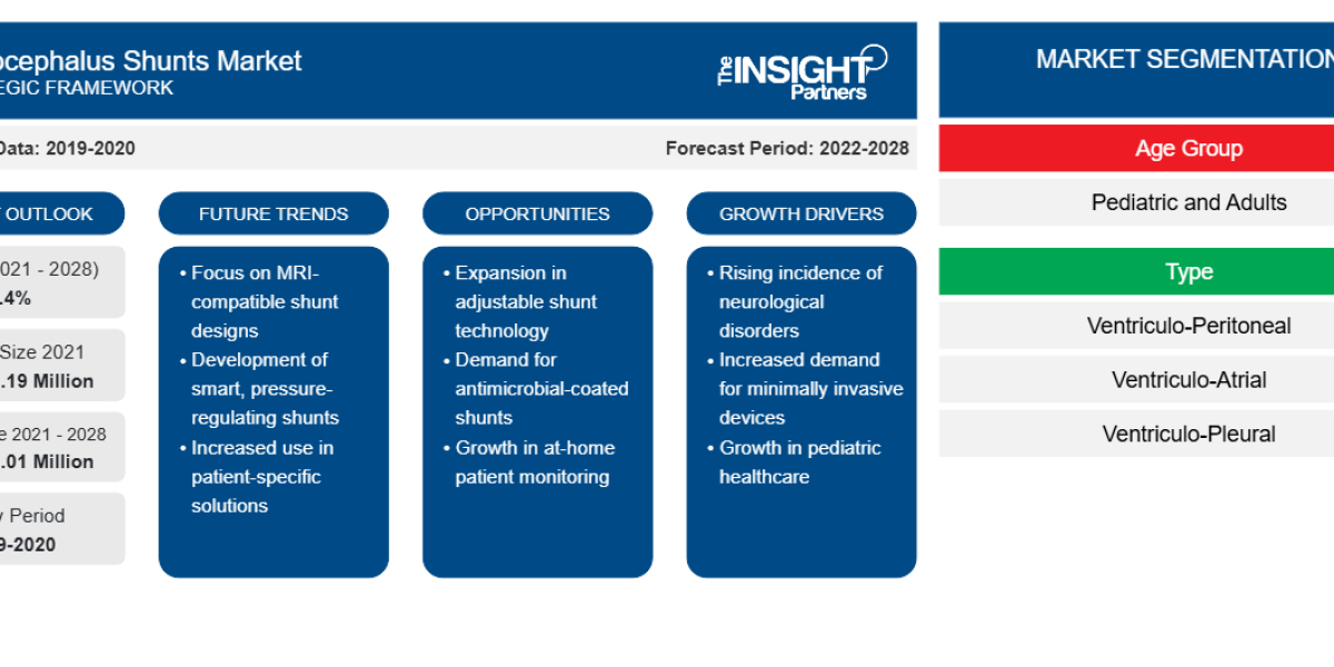 Hydrocephalus Shunts Market Analysis—Size, Share, Demand, and Future Trends Through 2028
