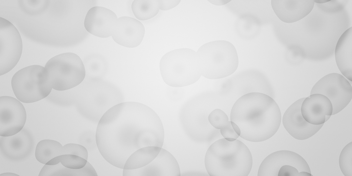 Understanding Borrowing $3,000 with No Credit Check