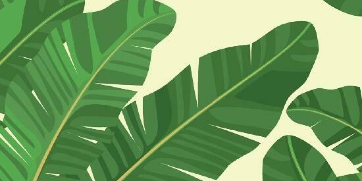 How To Use Bet9ja Free Bet