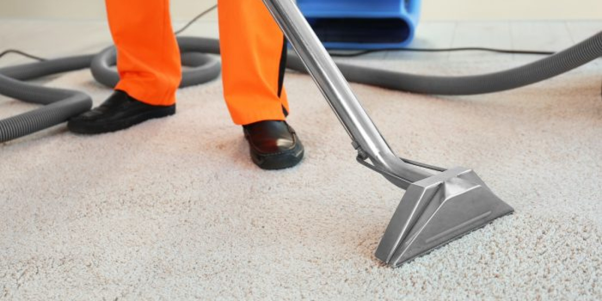 Carpet Cleaning Services vs. DIY: What’s the Better Choice?