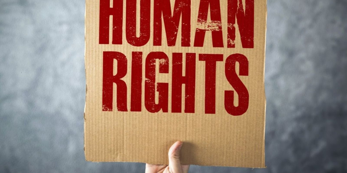 The Safety Net of Last Resort: An Educational Guide to Human Rights Claims