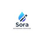 Sora Watermarks