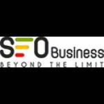 seobusiness