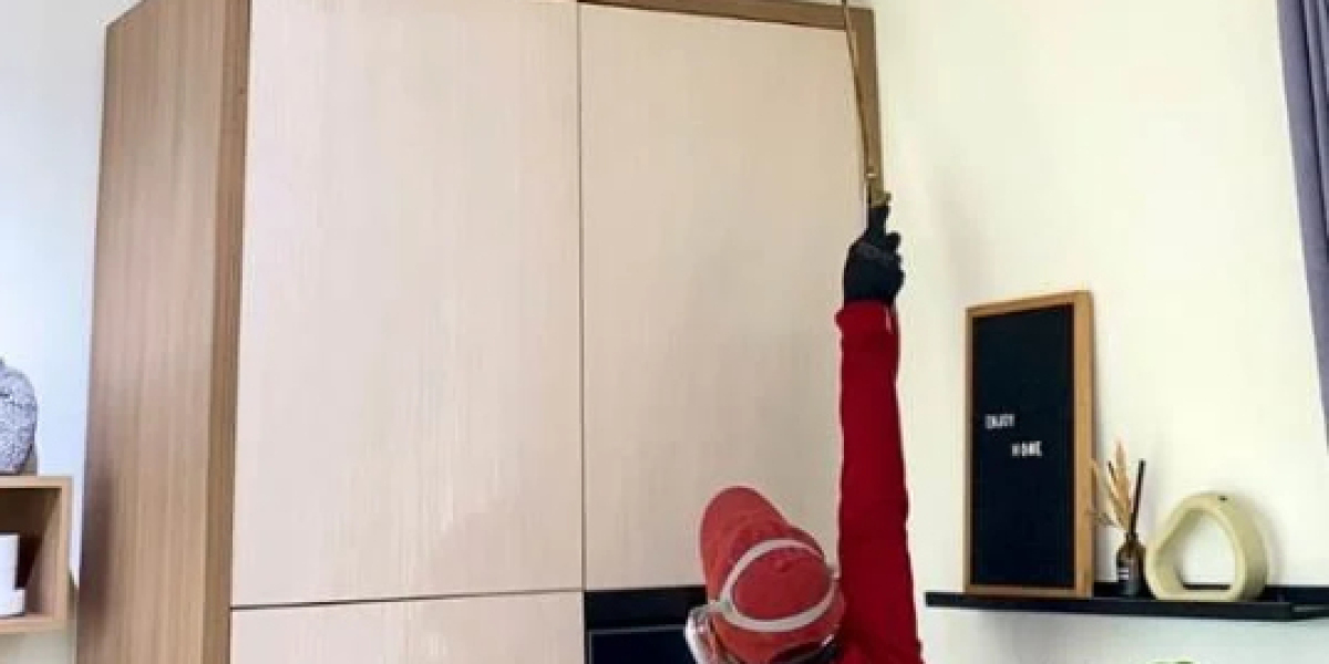 Layanan Pembasmi Rayap Terbaik Untuk Perlindungan Hunian