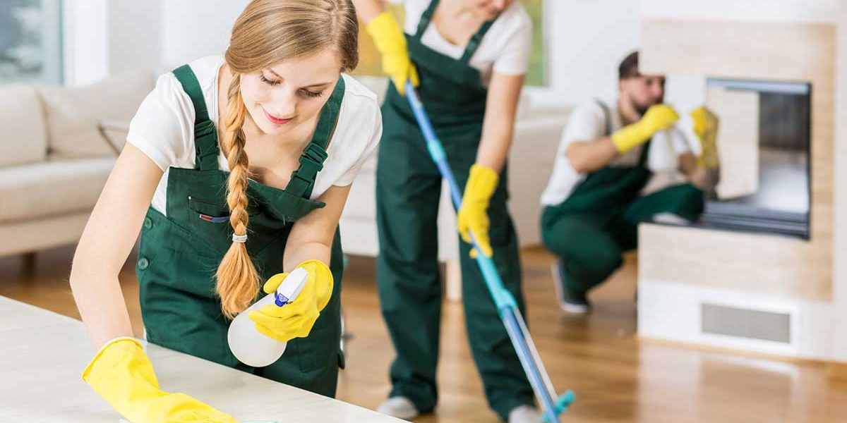 Reliable and Efficient House Cleaning Services London Homeowners Trust – Bolfis Cleaning
