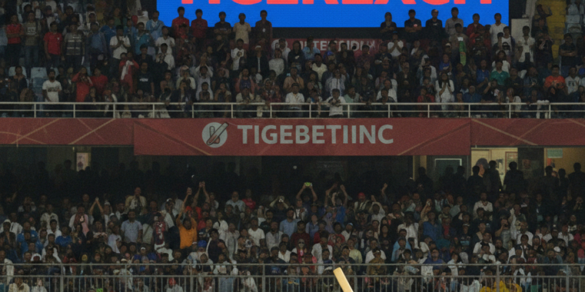 Beginner’s Overview of Tigerexch Platform | BestBettingIndia