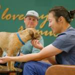 Park Hills Animal Hospital