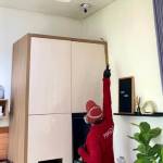 Jasa Anti Rayap Kabupaten Bogor