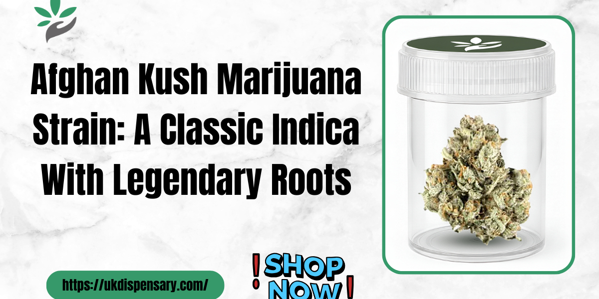 Afghan Kush Marijuana Strain Guide | Origin, Flavor & Effects