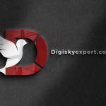 digiskyexpert