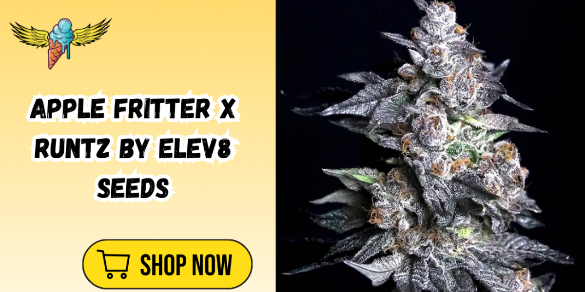 Apple Fritter Runtz Strain Seeds: Elite Hybrid Cannabis Genetics