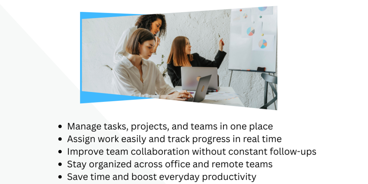 Task Management Software: The Foundation of Productive and Organized Teams