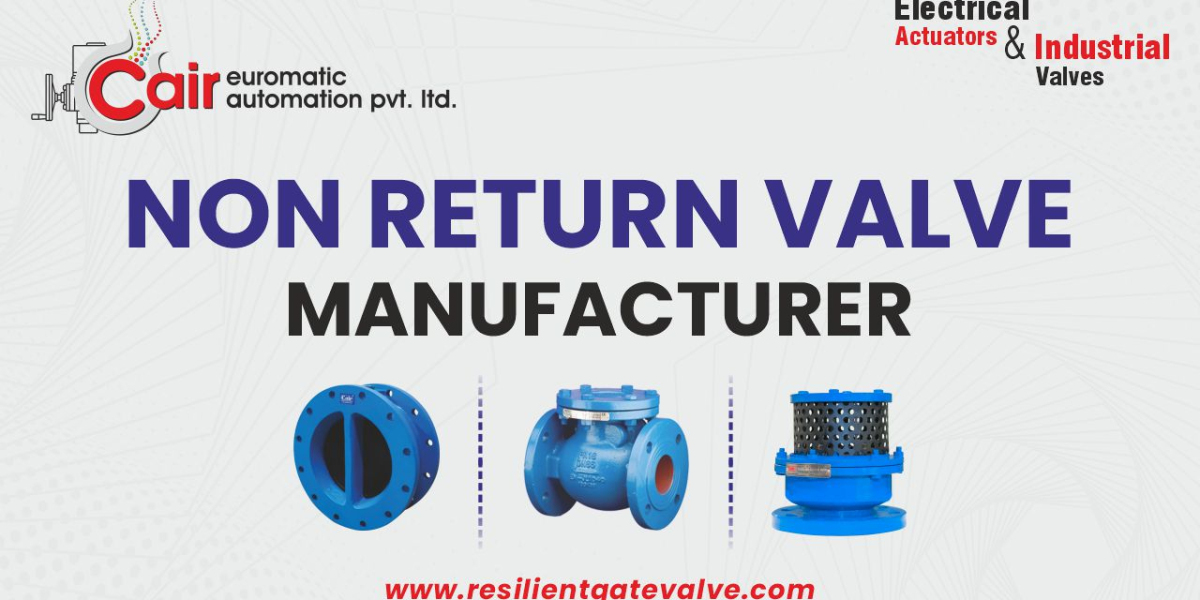 Leading NRV Valve Manufacturer in Ahmedabad for Water & Industrial Use
