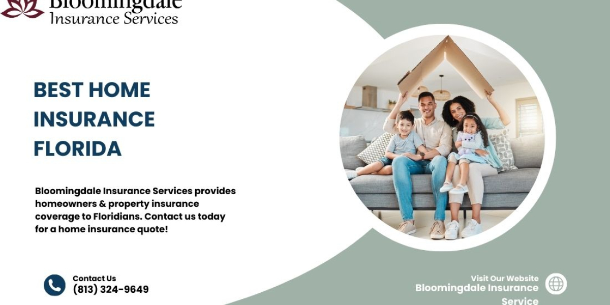 Best Home Insurance Florida by Bloomingdale Insurance Services