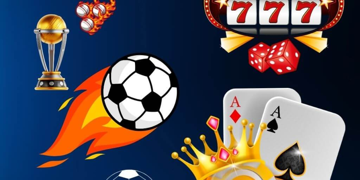 Why playwise365 Is Becoming the Go-To Choice for Young Sports Enthusiasts