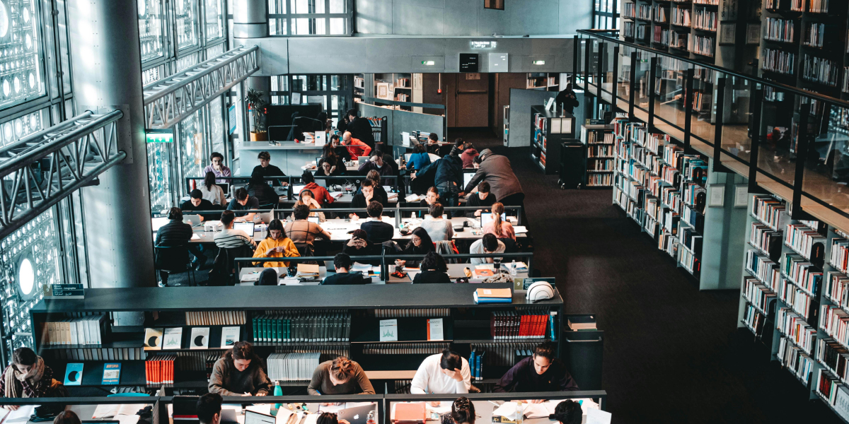 Why Are AP Batches in Dubai Becoming So Popular?