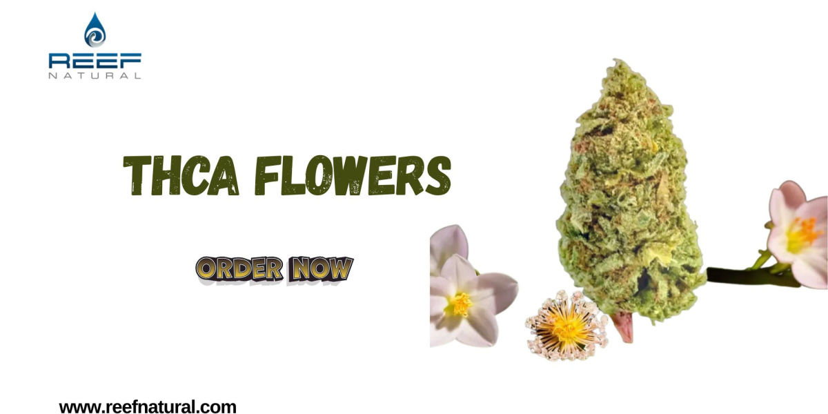Discover Premium THCA Flowers for Wellness and Relaxation