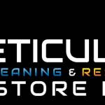 Meticulosity Cleaning