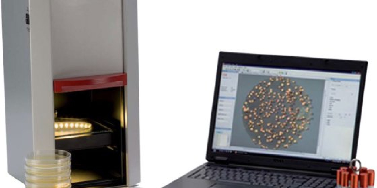 Colony Counter: A Complete Guide to Accurate Microbial Analysis