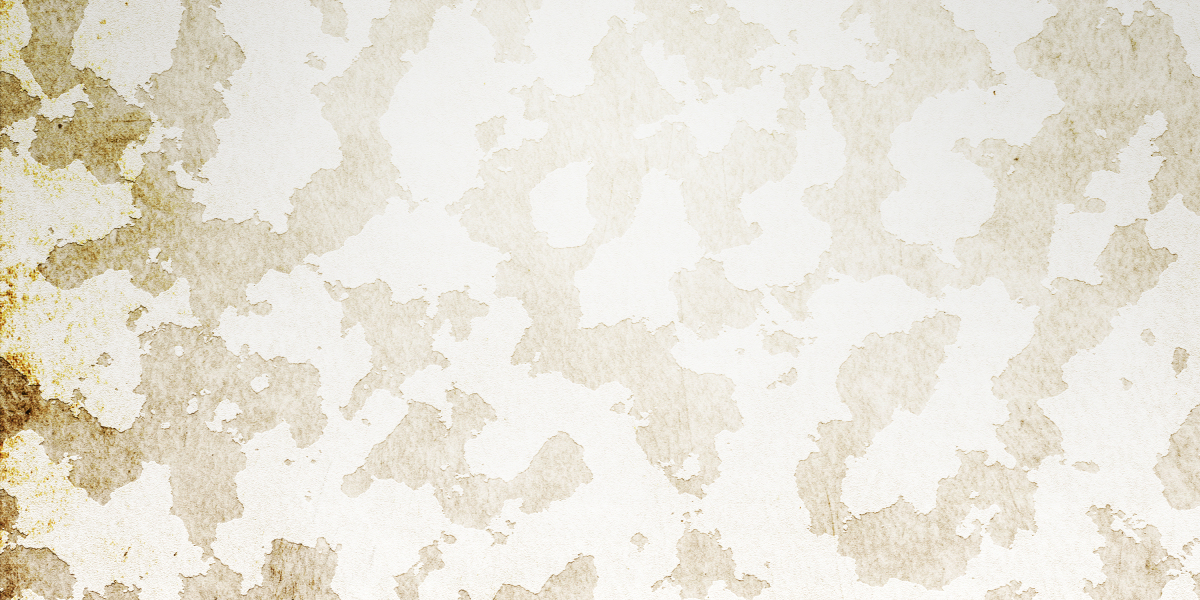 Exploring Holistic Treatments for Erectile Dysfunction: A Comprehensive Approach to Men's Health