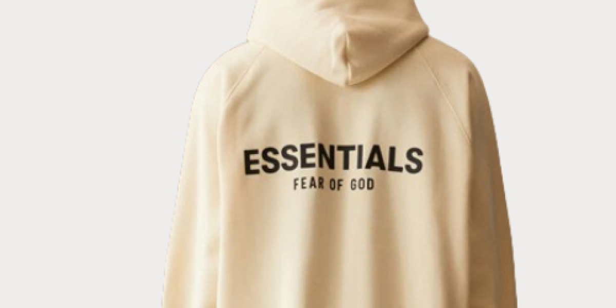 Introduction to Essentials Hoodie