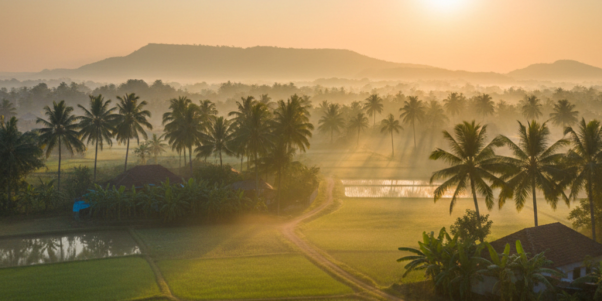 looking for a homestay in Palakkad close to nature trails?