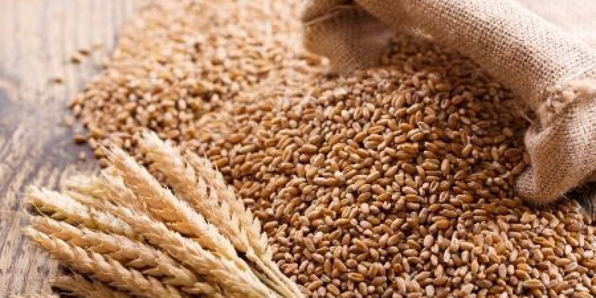 Wheat Export from India: Trade Data, Markets, and Insights