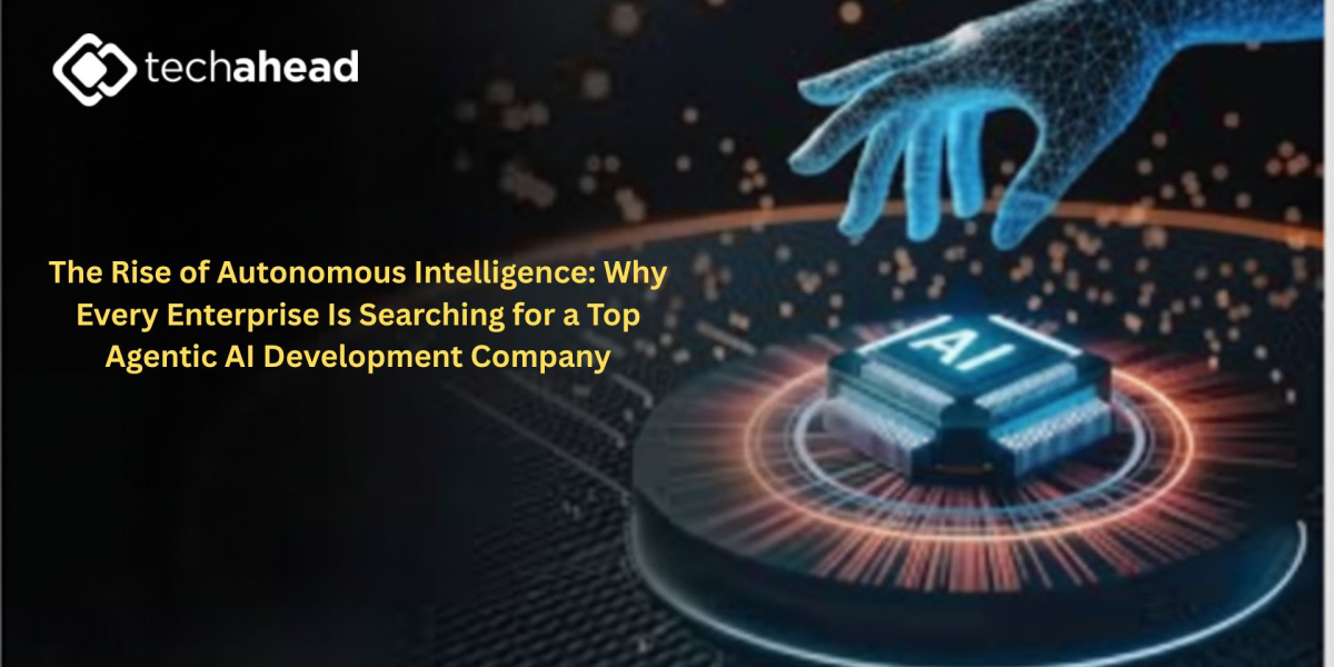 The Rise of Autonomous Intelligence: Why Every Enterprise Is Searching for a Top Agentic AI Development Company