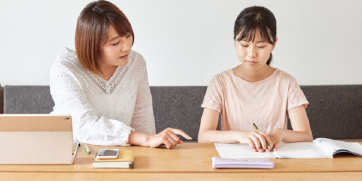 Educational Programs That Bridge the Gap Between School and Real-World Skills