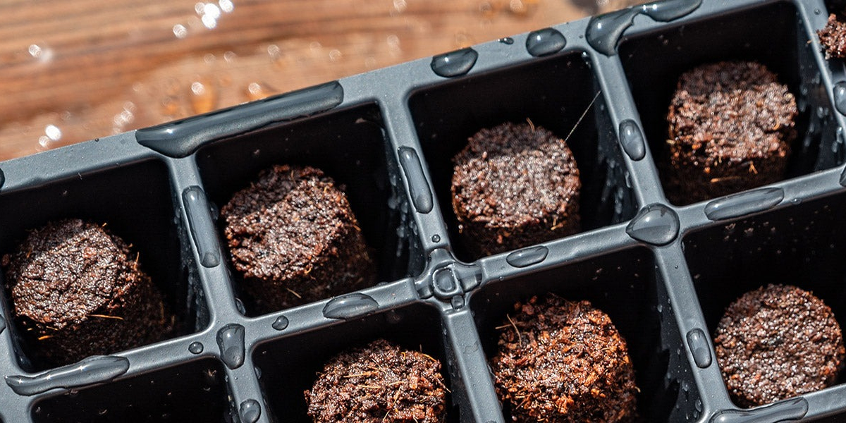 Seed Starting Trays