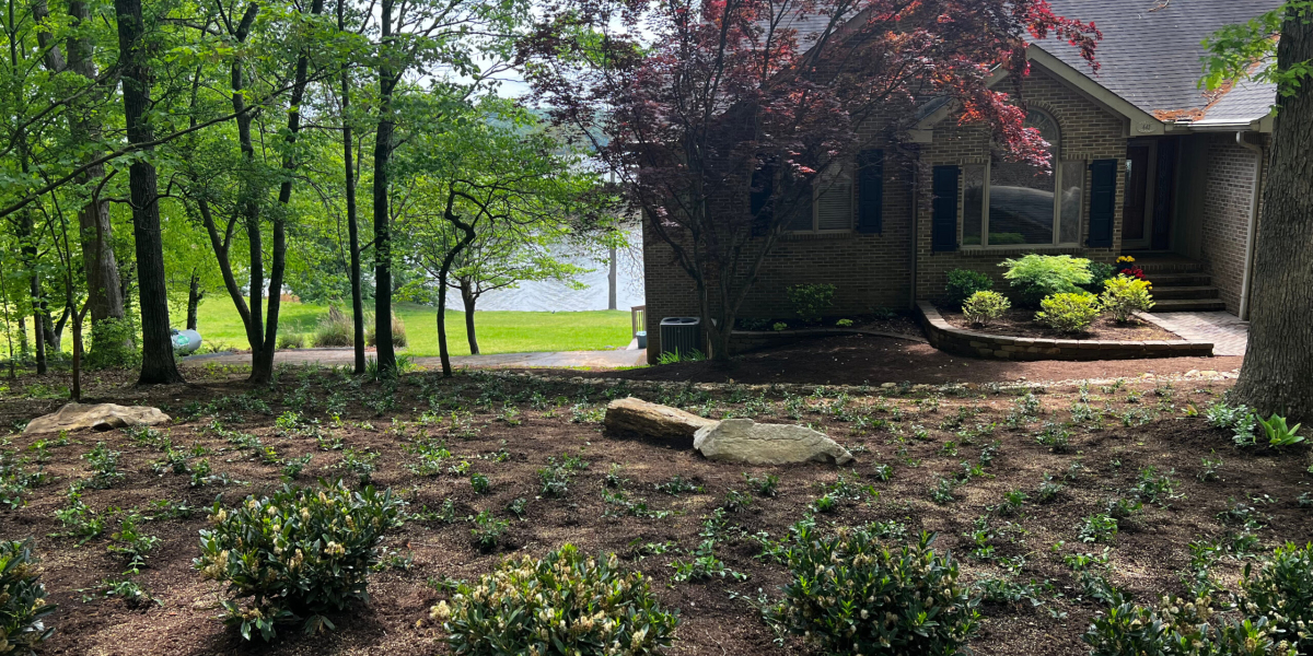 Caney Creek Nursery – Rockwood TN’s Trusted Plant & Landscape Experts