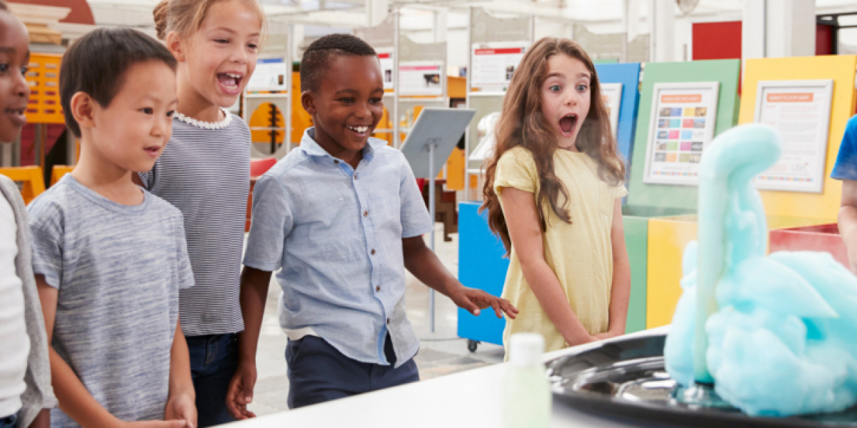 Summer Science Camps in Virginia, USA: Explore STEM with Acewall Scholars