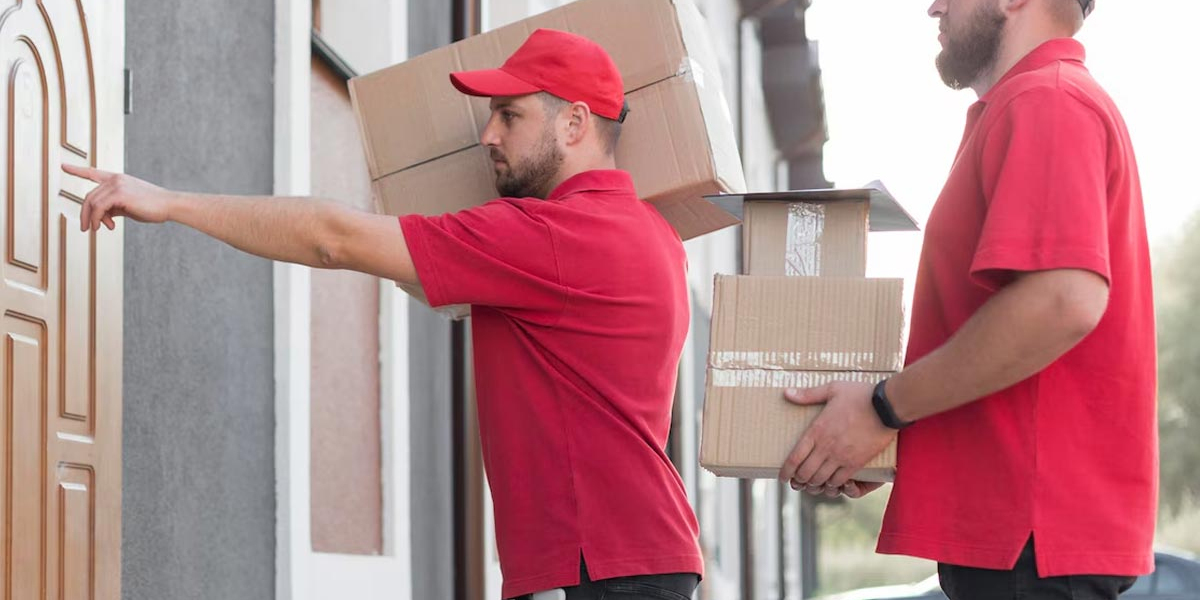 Transportation Services in Delhi NCR for Goods & Logistics  Allianz Packer