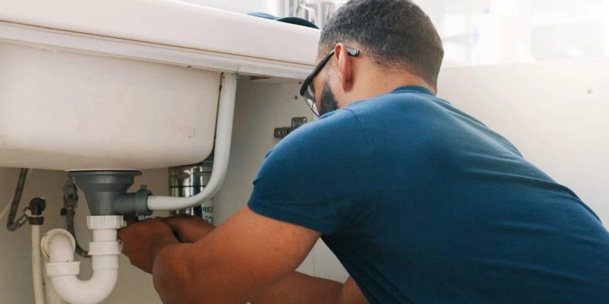 De meest verbazingwekkende Loodgieter die onze kijk op de wereld verandert