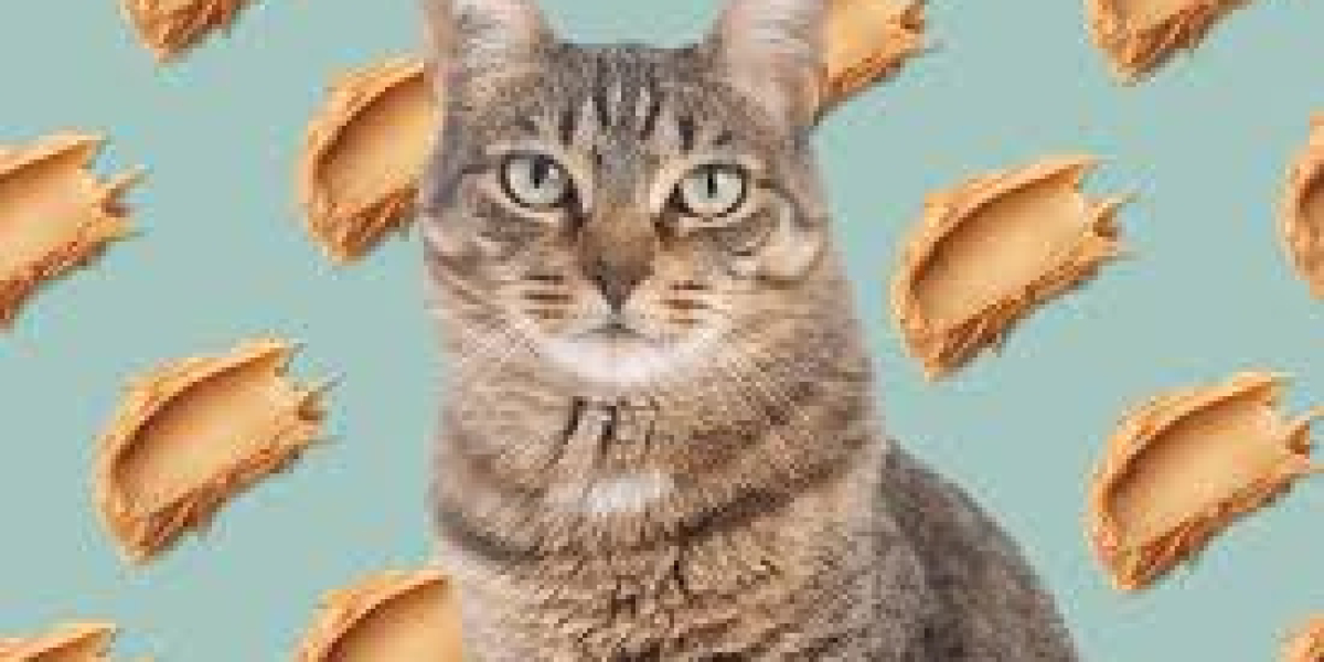 Total Cost of Cat Declawing: Surgery, Recovery, and Aftercare