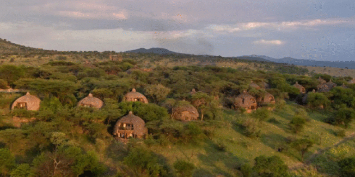 Serengeti Serena Lodge: A Luxury Safari Experience Curated by Golden Trips Tanzania