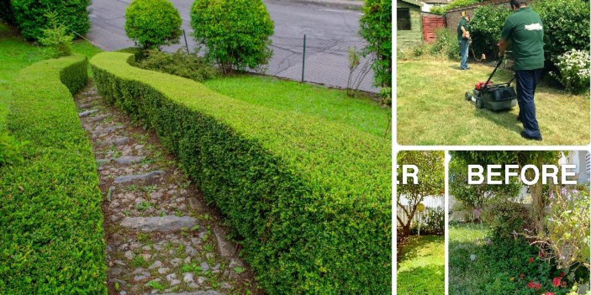 Garden Clean Up Services: Keep Your Outdoor Space Pristine