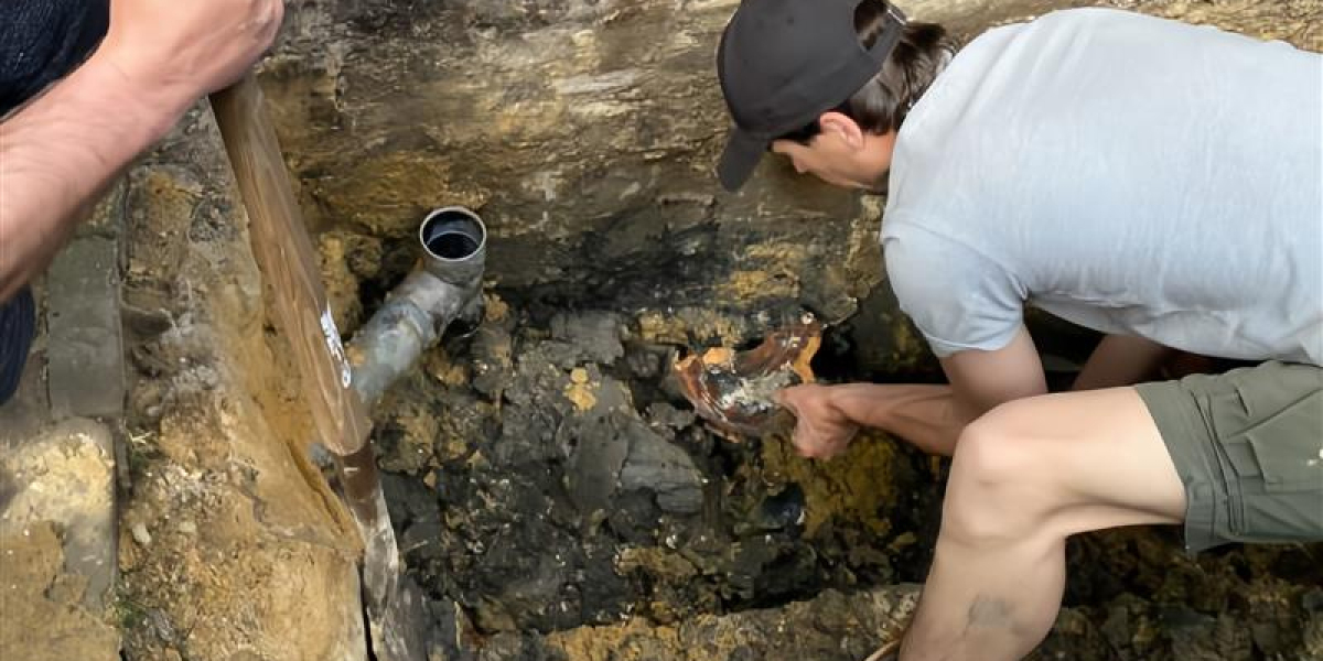 Get Rid of Mold Fast Michigan Cleanup Experts Help