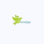 Prisstine Systems