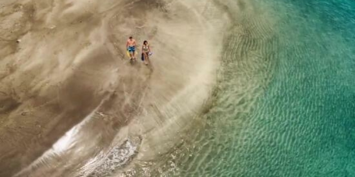 What Does Real Estate Owned (REO) Mean?