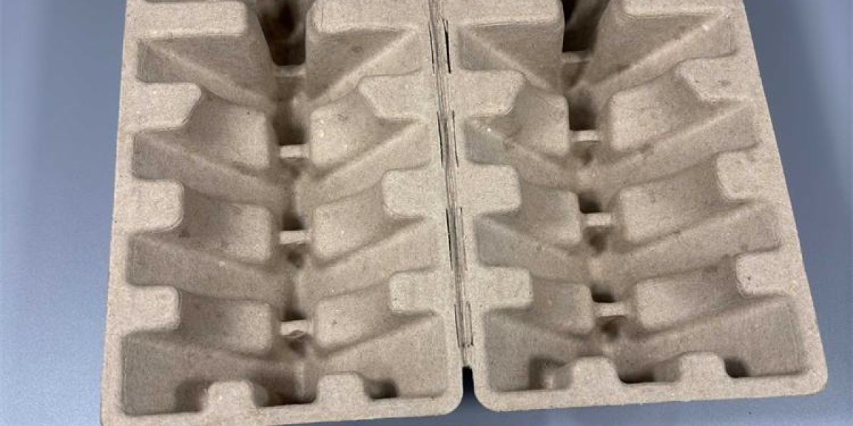 Rotary Thermoforming Pulp Molding Machine: The Future of High-Efficiency Sustainable Packaging