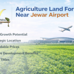 Agriculture Land For Sale Near Jewar Airport – Why Is It the Best Investment Opportunity Today? - Tumblrblog