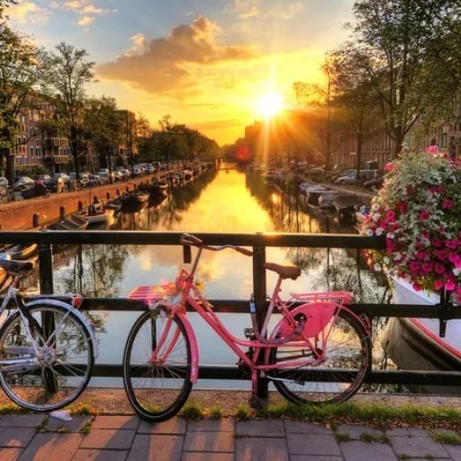 British Airways Amsterdam Office 1 (833) 897-5337 Netherlands